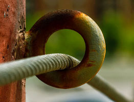 操作简单易用的云呼官方